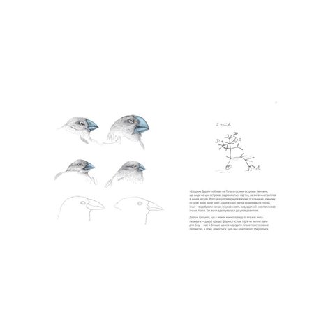 Книга Однакові чи різні? Геноміка - Майнеро Франсиско Хавьер Соберон, Бергна Моника Превью 3